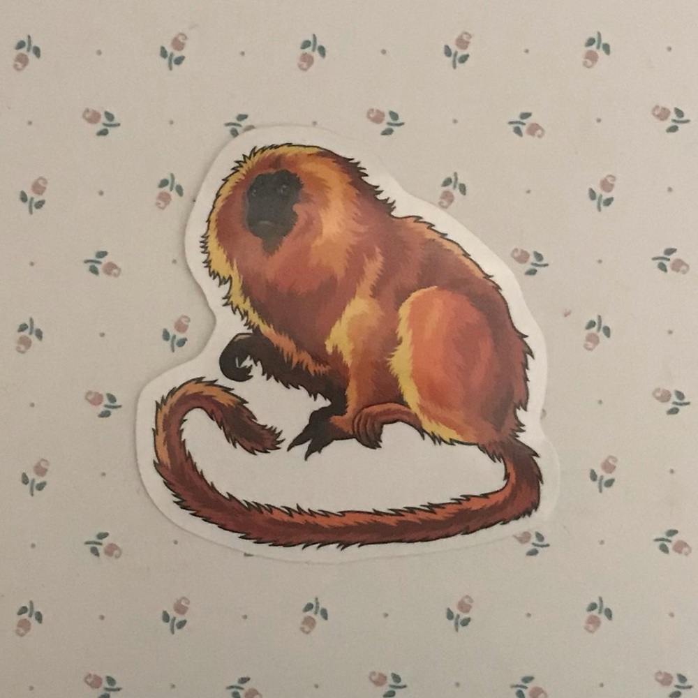 Monkey Sticker - Picture 2 of 3